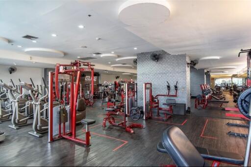 Modern gym with various exercise machines and equipment