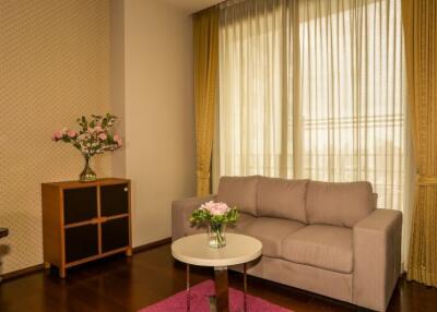 Cozy living room interior with comfortable sofa and natural light