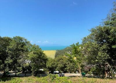 Beautiful 1,168sqm Sea View Land Plot in Bang Por, Koh Samui