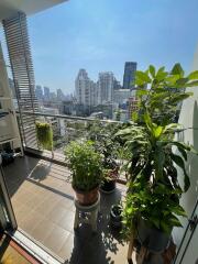 The Master Centrium Asoke – Sukhumvit – 2 bed