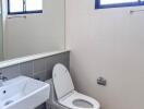 Modern bathroom with white and grey tiles, natural lighting and essential sanitary fittings