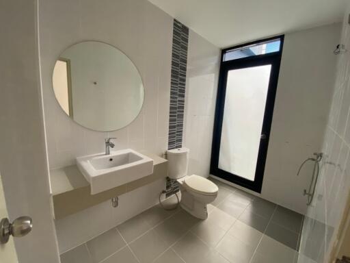 Modern bathroom with natural light