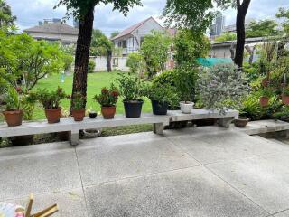 Spacious garden area with potted plants and a view of suburban houses