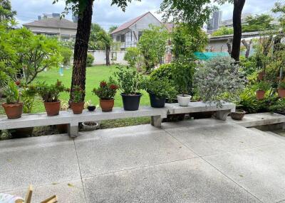 Spacious garden area with potted plants and a view of suburban houses