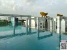 Rooftop swimming pool with city skyline view