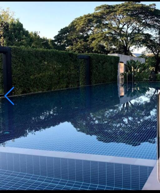 Outdoor swimming pool with lush greenery in the background