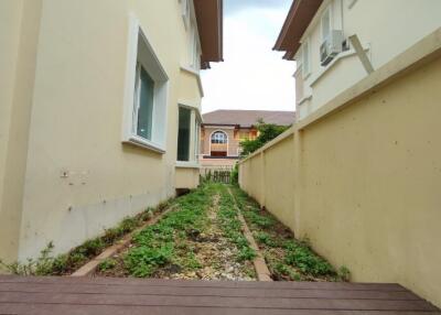 Narrow side yard of a residential home with a path leading to the back