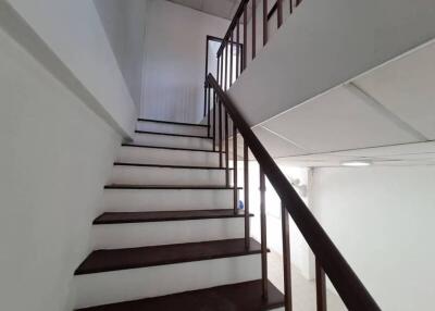 Well-maintained staircase with wooden steps and a sturdy handrail