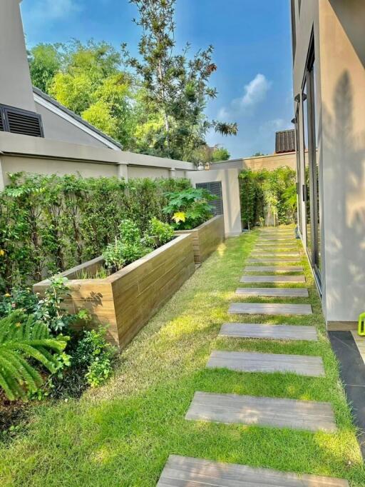 Lush garden pathway beside a modern house with stepping stones