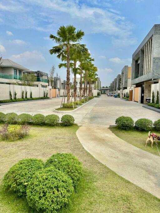 Paved walkway with landscaped greenery in a residential neighborhood