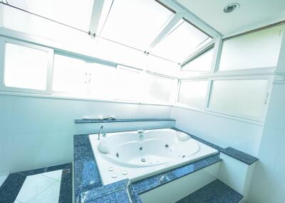 Spacious bathroom with jacuzzi under skylights