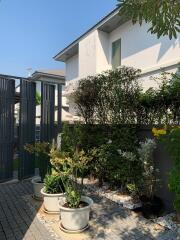 Modern house exterior with garden pathway and gated entrance