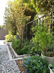 Lush garden with a variety of plants, a pebble path, and fencing