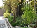 Lush garden with a variety of plants, a pebble path, and fencing