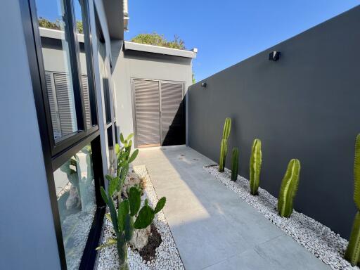 Modern home exterior with cacti and landscaped garden