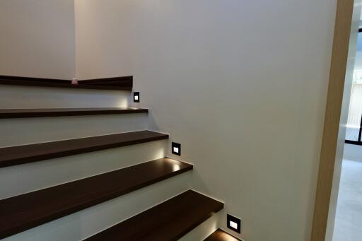 Modern home staircase with wooden steps and LED lights