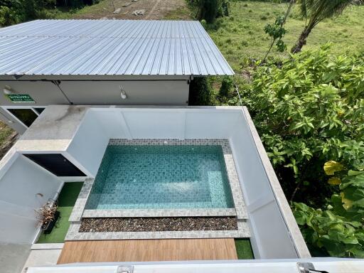 Aerial view of home outdoor area with swimming pool and greenery