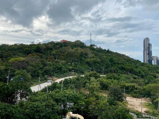 Scenic overlook of a lush green area with a cityscape in the background under cloudy skies