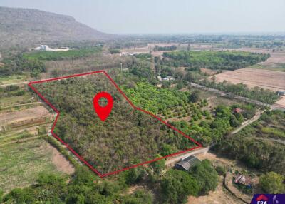 Aerial view of a large property with clear boundaries marked in red