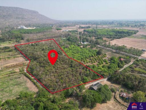 Aerial view of a large property with clear boundaries marked in red