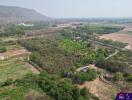 Aerial view of a green rural landscape with potential for real estate development