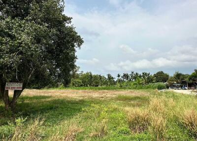 Spacious open land with greenery under a cloudy sky