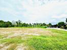 Spacious vacant land with natural surroundings and clear skies