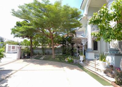 Spacious front yard of a residential home with greenery and driveway