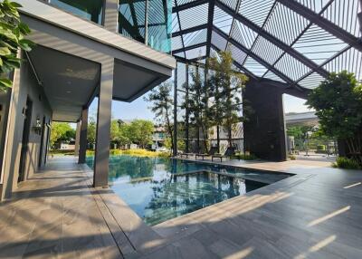 Modern outdoor swimming pool with shaded lounge area and landscaping