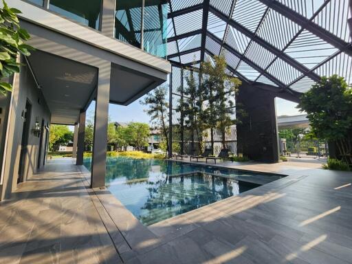 Modern outdoor swimming pool with shaded lounge area and landscaping