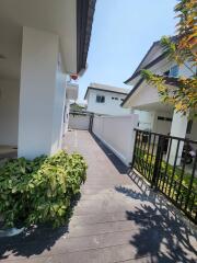 House for Rent in Suthep, Mueang Chiang Mai.