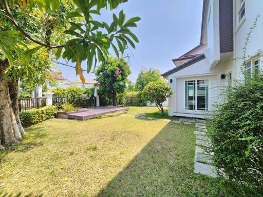 House for Rent in Suthep, Mueang Chiang Mai.