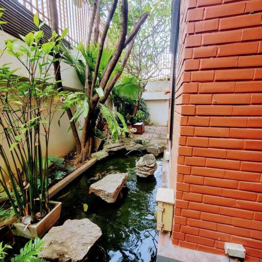 Tranquil garden patio with pond and lush greenery