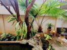 Lush indoor garden with a variety of plants and a small pond