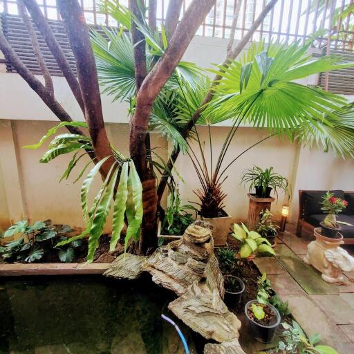 Lush indoor garden with a variety of plants and a small pond