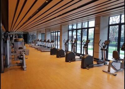 Modern gym with cardio equipment and large windows