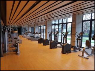 Modern gym with cardio equipment and large windows