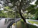 Spacious outdoor area with a large tree