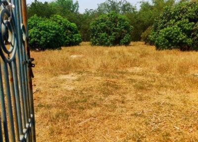 View of a spacious outdoor land with an open gate leading to a natural area