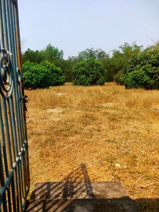 View of a spacious outdoor land with an open gate leading to a natural area