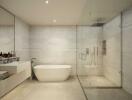 Spacious modern bathroom with standalone tub and glass-enclosed shower