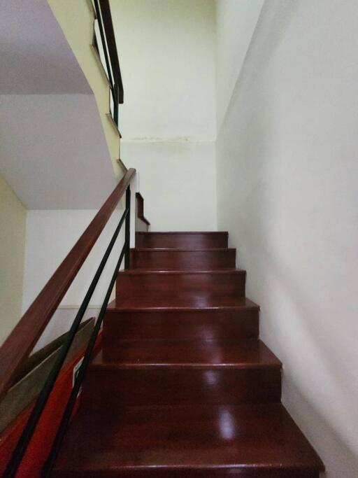 Polished wooden staircase inside a home with white walls