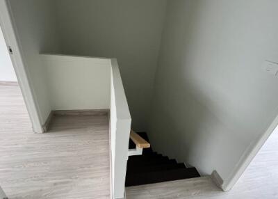 Modern staircase leading downstairs with laminate wood flooring