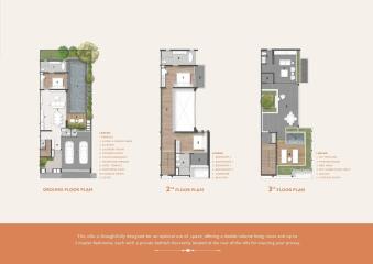 Detailed three-story floor plan for a residential property
