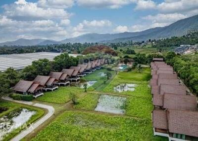 Huge 15 Rai Resort 56 Bungalows in Mae Nam 250M