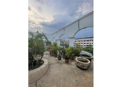 Versatile Commercial Building for Sale with Rooftop Garden in Soi Yenakart