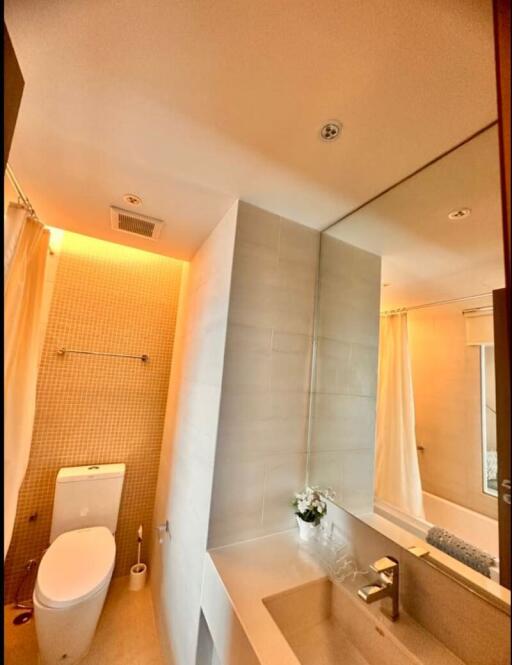 Modern bathroom with shower and toilet