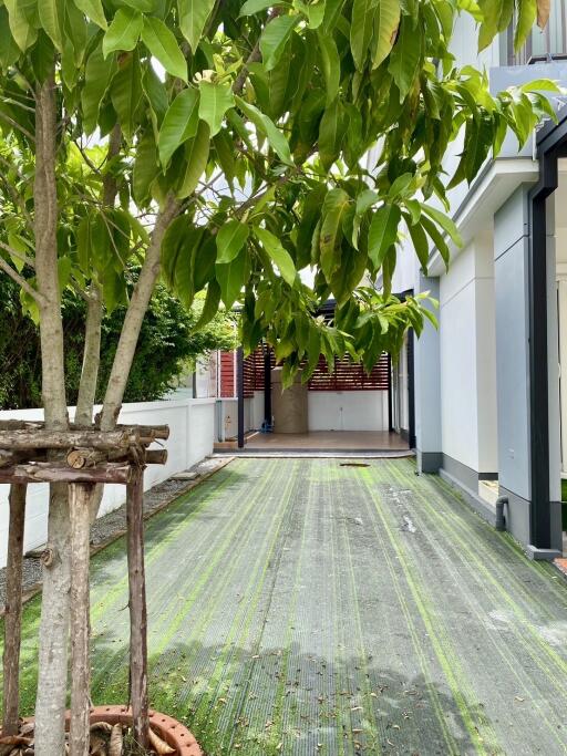 Tree-lined driveway leading to a residential home