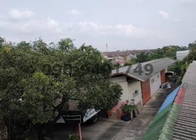 View from the rooftop showcasing surrounding neighborhood and tree