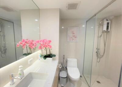 Modern bathroom with glass shower and decorative flowers
